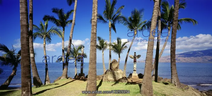 : Geo. USA, Hawaii, Maui, Str&x4ba4;e, Historische : Geo. USA, Hawaii, Maui, Str&x4ba4;e, Historische