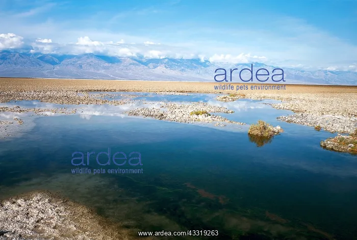 : Geo. USA, Kalifornien, Death Valley, Tal des Todes : Geo. USA, Kalifornien, Death Valley, Tal des Todes