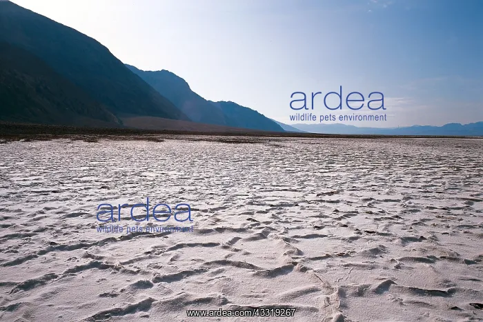 : Geo. USA, Kalifornien, Death Valley, Tal des Todes : Geo. USA, Kalifornien, Death Valley, Tal des Todes