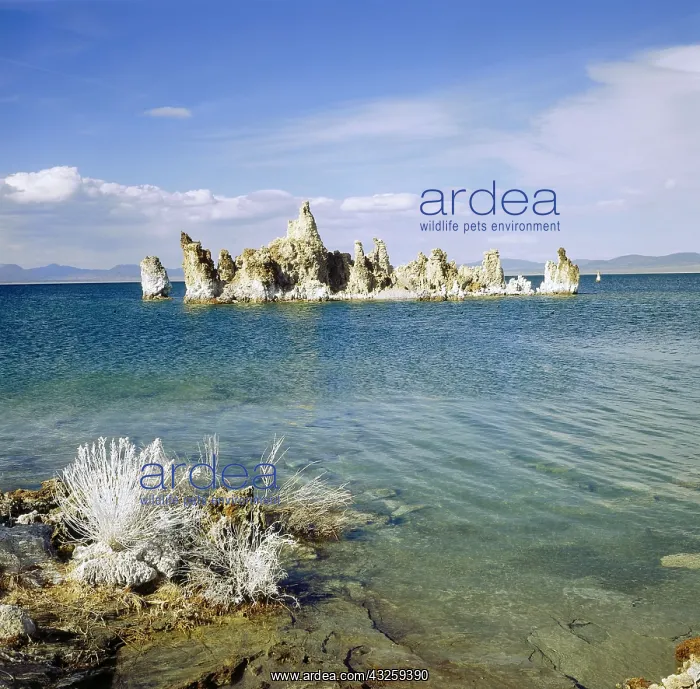 : Geo. USA, Kalifornien, Landschaften, Mono Lake : Geo. USA, Kalifornien, Landschaften, Mono Lake