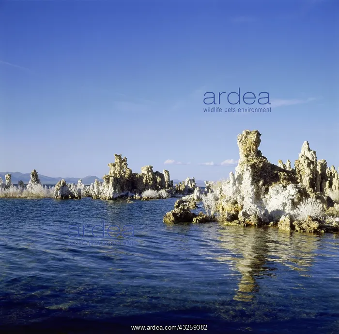 : Geo. USA, Kalifornien, Mono Lake, Tufa Formationen : Geo. USA, Kalifornien, Mono Lake, Tufa Formationen