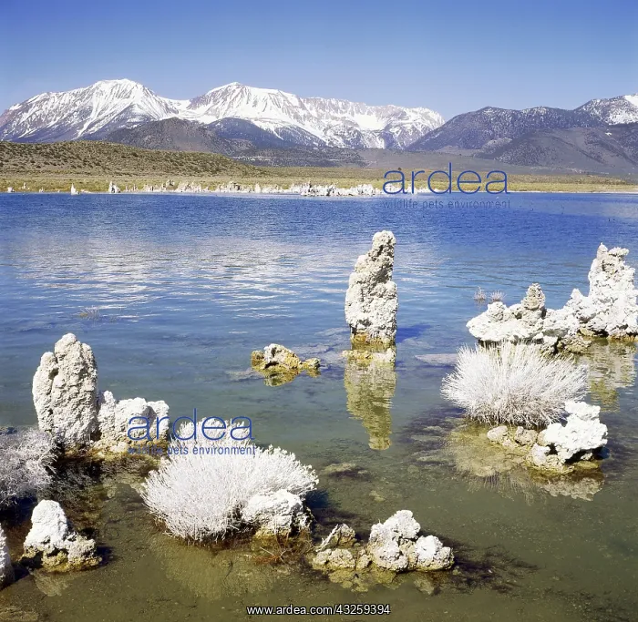 : Geo. USA, Kalifornien, Mono Lake, Tufa Formationen : Geo. USA, Kalifornien, Mono Lake, Tufa Formationen