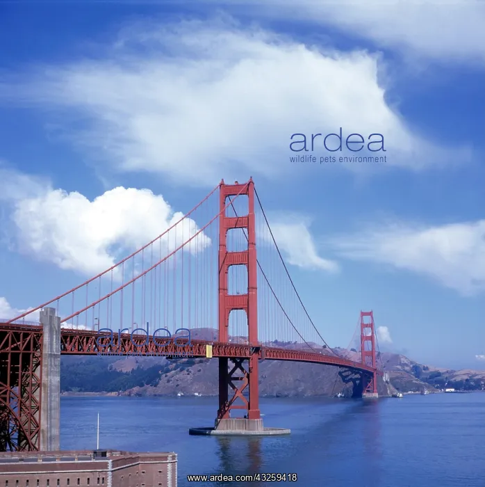  : Geo. USA, Kalifornien, San Francisco, Br&x23ae5bac;