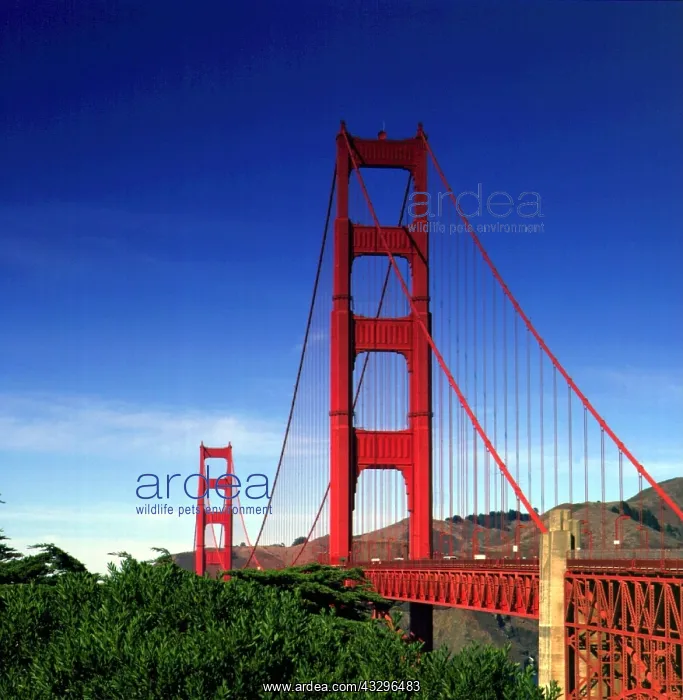 : Geo. USA, Kalifornien, San Francisco, die Golden : Geo. USA, Kalifornien, San Francisco, die Golden