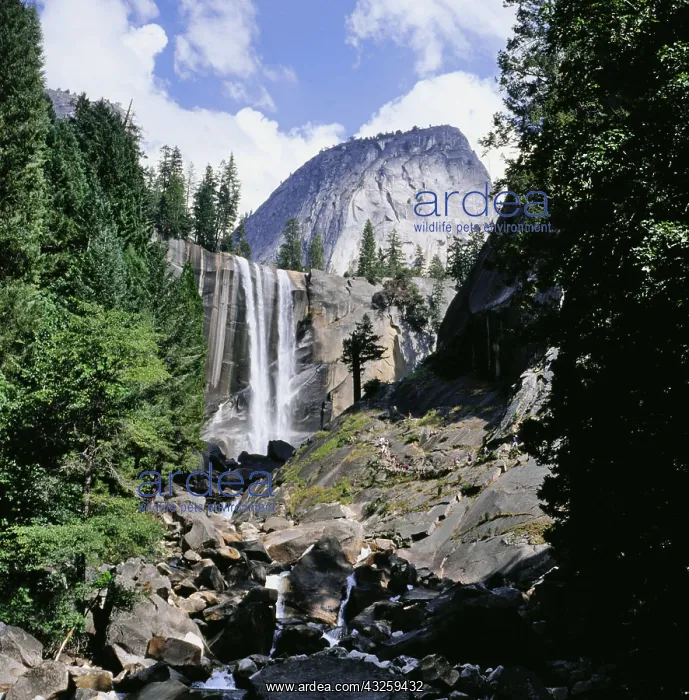 : Geo. USA, Kalifornien, Yosemite National Park : Geo. USA, Kalifornien, Yosemite National Park