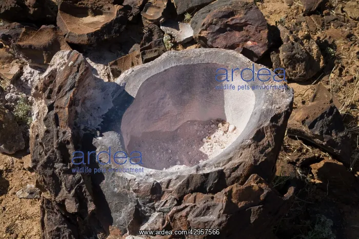 : Geode. Near Well 23 Canning Stock Route a very remote part of Western Australia : Geode. Near Well 23 Canning Stock Route a very remote part of Western Australia