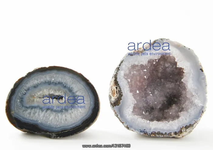 : Geodes. Two geodes : Geodes. Two geodes