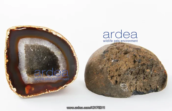 : Geodes. Surface and interior of geodes : Geodes. Surface and interior of geodes