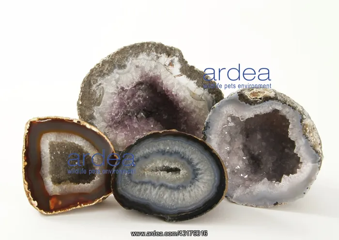 : Geodes. Collection of geodes : Geodes. Collection of geodes