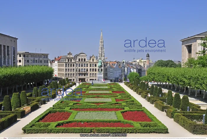 : Geografie, Belgien, Br&x33ce5b2c; Place de l'Albertine : Geografie, Belgien, Br&x33ce5b2c; Place de l'Albertine