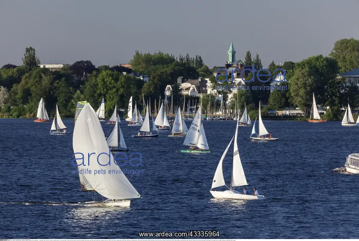 : Geografie, BRD, Hamburg, Hamburg, Segler auf der : Geografie, BRD, Hamburg, Hamburg, Segler auf der
