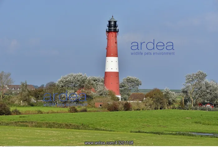 : Geografie, BRD, Leuchtturm, Insel Pellworm, Nordfriesland : Geografie, BRD, Leuchtturm, Insel Pellworm, Nordfriesland