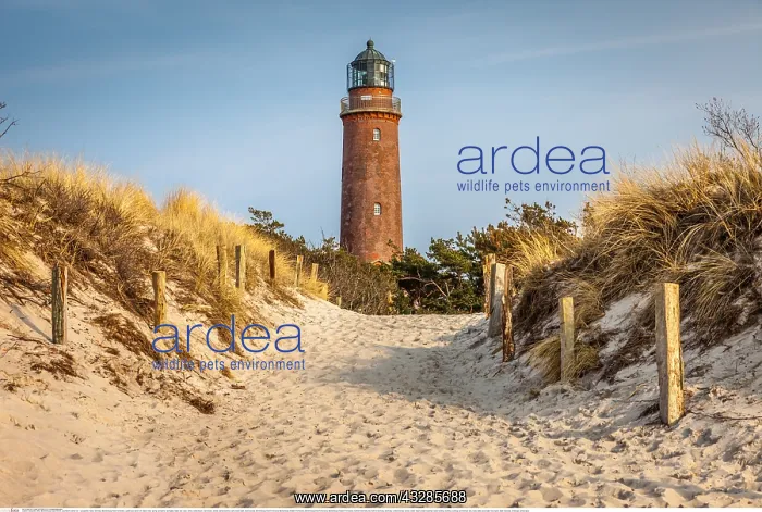 : Geografie, BRD, Mecklenburg-Vorpommern, Leuchtturm : Geografie, BRD, Mecklenburg-Vorpommern, Leuchtturm