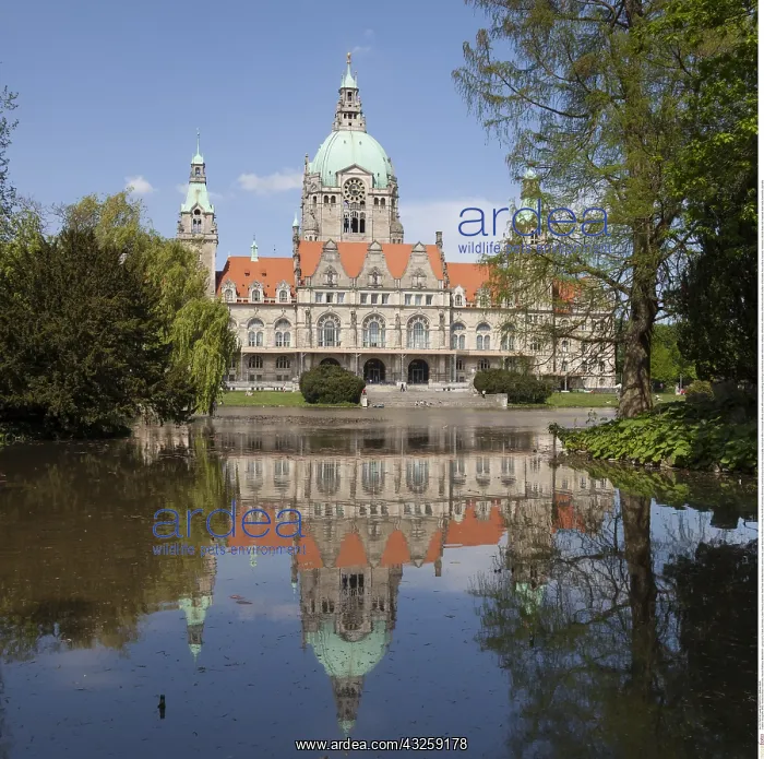 : Geografie, BRD, Niedersachsen, Hannover, Neues Rathaus : Geografie, BRD, Niedersachsen, Hannover, Neues Rathaus