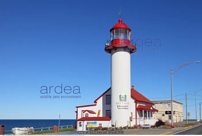 : Geografie, Canada, Quebec, Matane, Matane Light : Geografie, Canada, Quebec, Matane, Matane Light