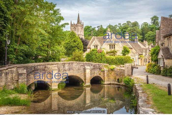  : Geografie, England, Das Dorf