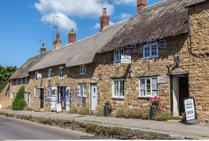 : Geografie, England, Dorfstrasse : Geografie, England, Dorfstrasse