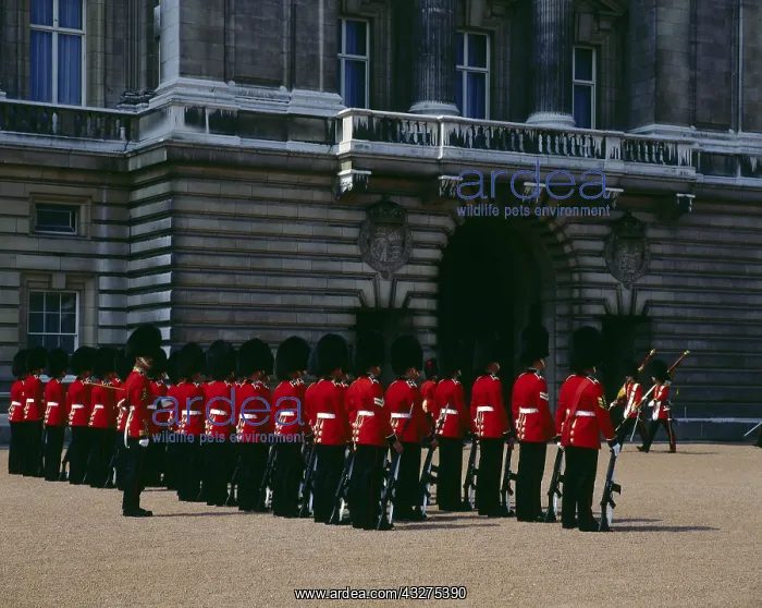 : Geografie, England, London : Geografie, England, London