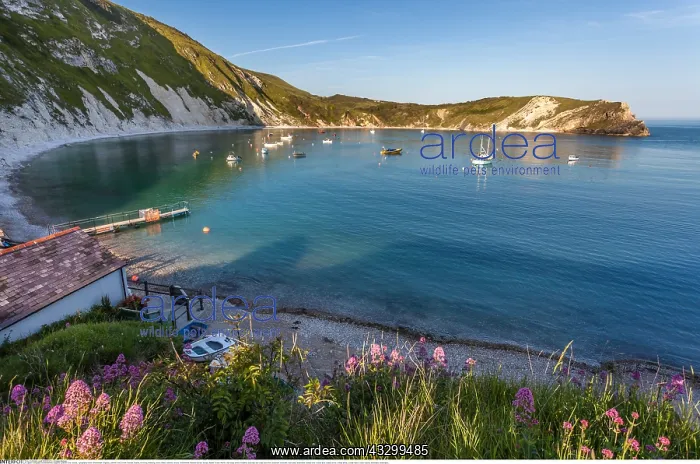 : Geografie, England, Lulworth : Geografie, England, Lulworth