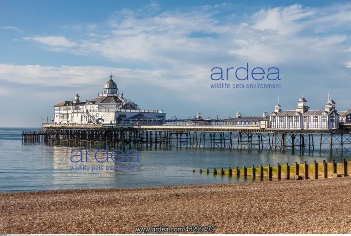  : Geografie, England, Pier in