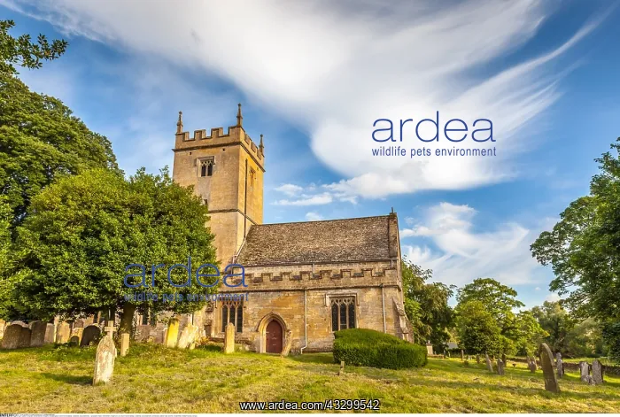 : Geografie, England, St Eadburgha's : Geografie, England, St Eadburgha's