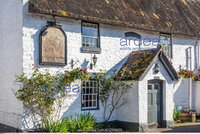 : Geografie, England, Weld Arms : Geografie, England, Weld Arms