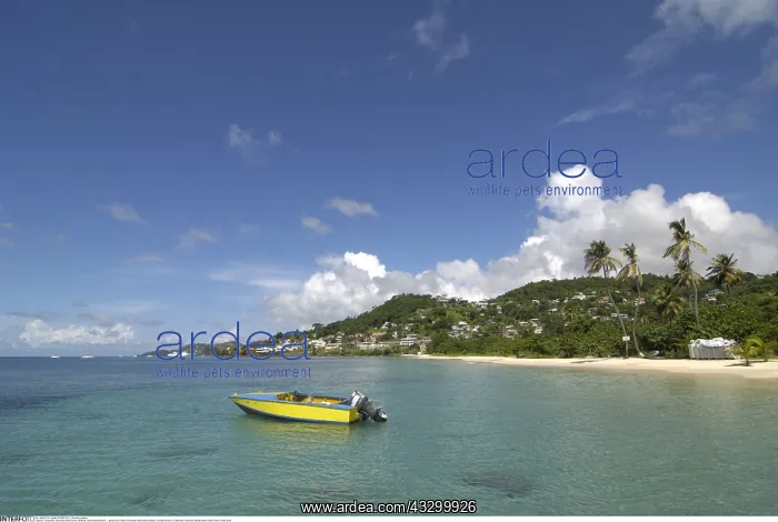 : Geografie, Grenada, Grand Anse, Str&x4ba4;e, Grand : Geografie, Grenada, Grand Anse, Str&x4ba4;e, Grand
