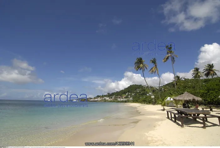 : Geografie, Grenada, Grand Anse, Str&x4ba4;e, Grand : Geografie, Grenada, Grand Anse, Str&x4ba4;e, Grand