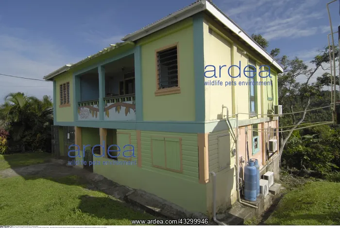 : Geografie, Grenada, Industrie, Grenada Chocolate : Geografie, Grenada, Industrie, Grenada Chocolate