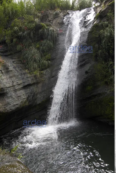 : Geografie, Grenada, Landschaften, Concord Wasserfall : Geografie, Grenada, Landschaften, Concord Wasserfall