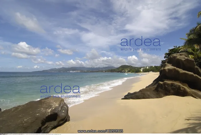 : Geografie, Grenada, Landschaften, Magazine Beach : Geografie, Grenada, Landschaften, Magazine Beach