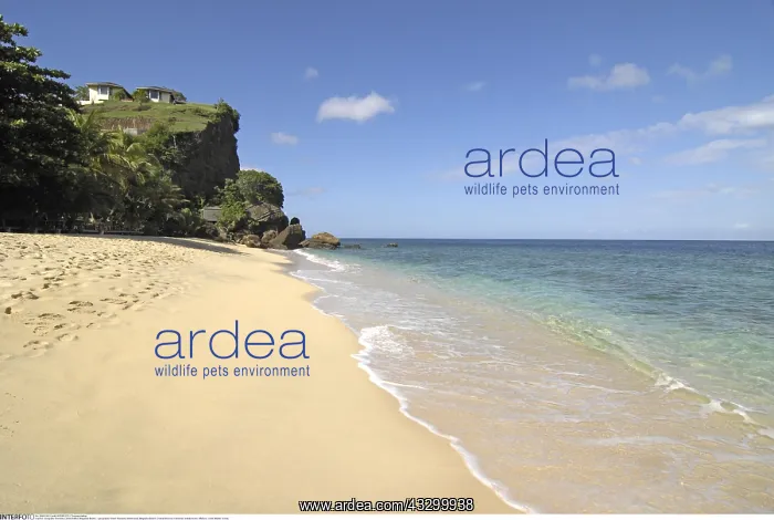 : Geografie, Grenada, Landschaften, Magazine Beach : Geografie, Grenada, Landschaften, Magazine Beach