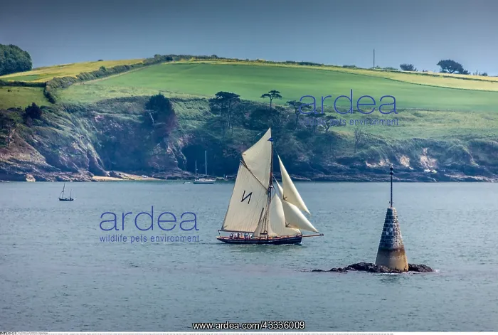 : Geografie, Gro??britannien, England, Segelboot in : Geografie, Gro??britannien, England, Segelboot in