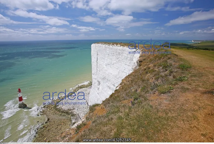 : Geografie, Grossbritannien, England, Sussex, Beachy : Geografie, Grossbritannien, England, Sussex, Beachy