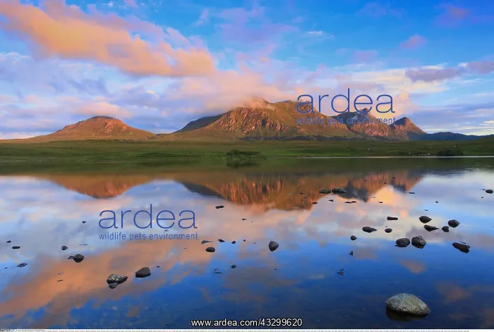 : Geografie, Grossbritannien, Schottland, Schottische : Geografie, Grossbritannien, Schottland, Schottische