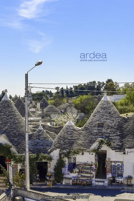  : Geografie, Italien, Alberobello, Apulien, UNESCO