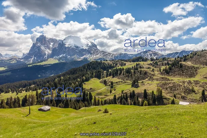  : Geografie, Italien, Almwiesen auf