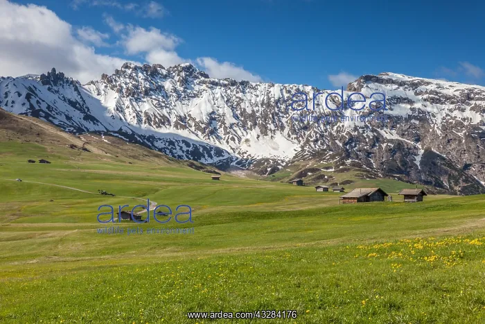 : Geografie, Italien, Almwiesen und : Geografie, Italien, Almwiesen und