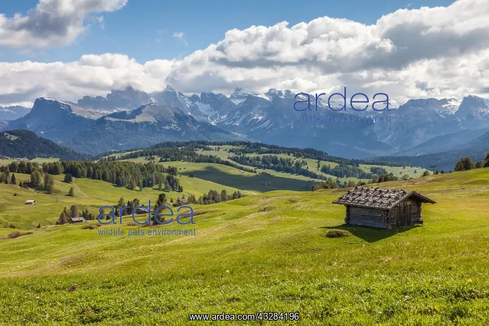 : Geografie, Italien, Almwiesen und : Geografie, Italien, Almwiesen und