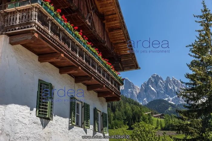 : Geografie, Italien, Alter Bauernhof : Geografie, Italien, Alter Bauernhof