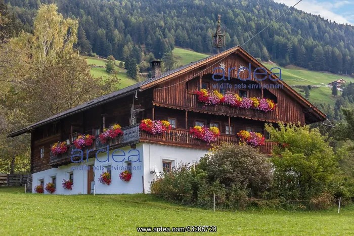: Geografie, Italien, Alter Bergbauernhof : Geografie, Italien, Alter Bergbauernhof