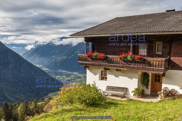 : Geografie, Italien, Alter Bergbauernhof : Geografie, Italien, Alter Bergbauernhof
