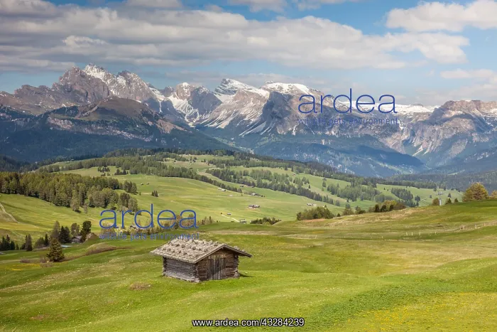 : Geografie, Italien, Bergwiesen auf : Geografie, Italien, Bergwiesen auf