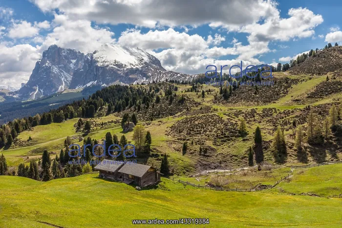 : Geografie, Italien, Bergwiesen auf : Geografie, Italien, Bergwiesen auf