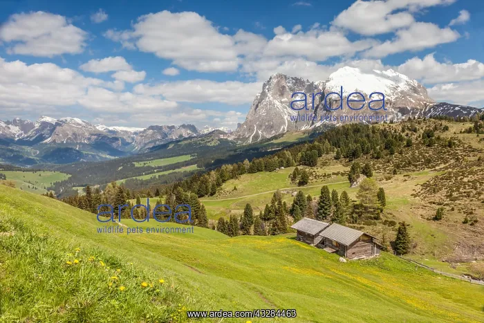 : Geografie, Italien, Bergwiesen und : Geografie, Italien, Bergwiesen und