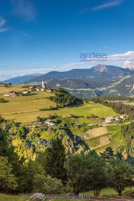 : Geografie, Italien, Blick auf Mittelberg : Geografie, Italien, Blick auf Mittelberg