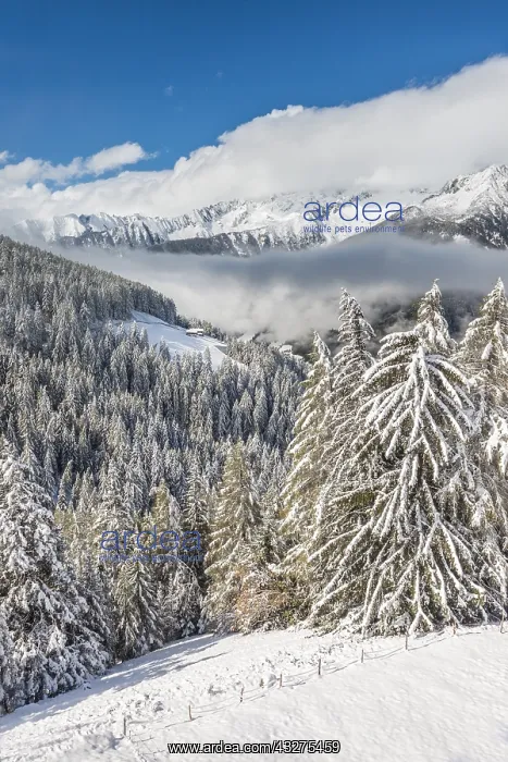 : Geografie, Italien, Blick vom Klausberg : Geografie, Italien, Blick vom Klausberg