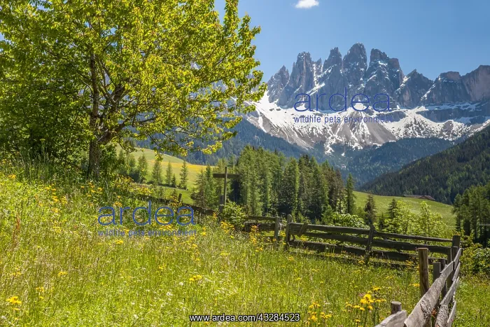  : Geografie, Italien, Blick zur Geislergruppe