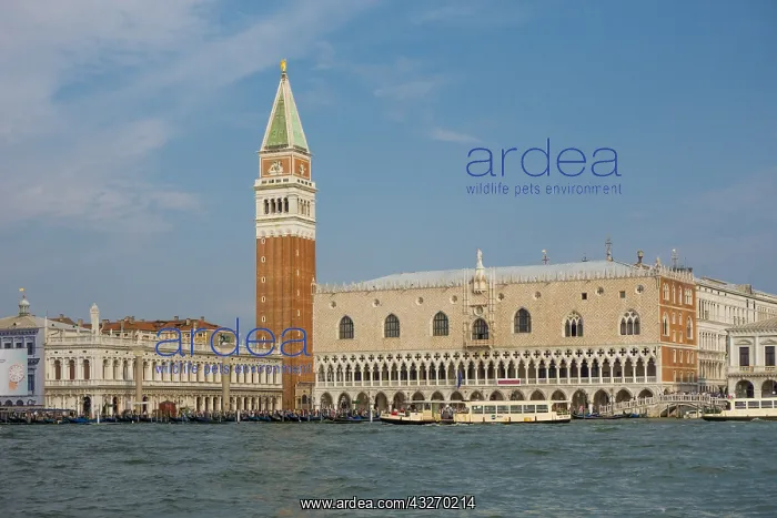 : Geografie, Italien, Campanile, Palazzo Ducale, Venetien : Geografie, Italien, Campanile, Palazzo Ducale, Venetien