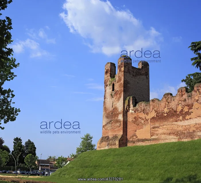 : Geografie, Italien, Castelfranco, Au&x7e5;nansicht : Geografie, Italien, Castelfranco, Au&x7e5;nansicht